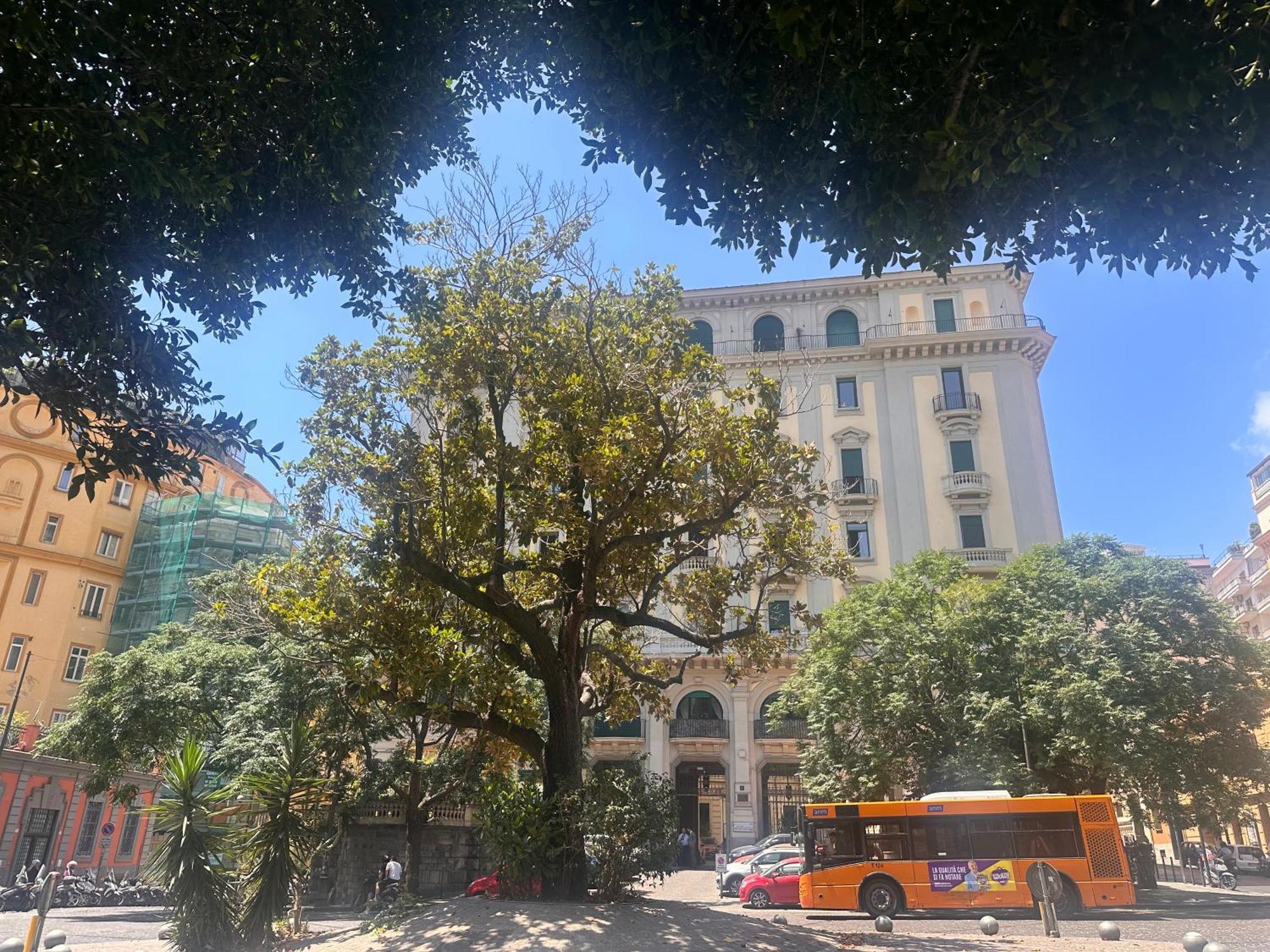 Casa Amedeo Bellissima Naples